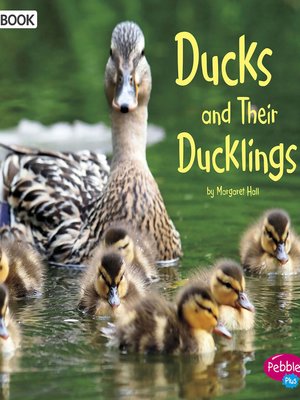 cover image of Ducks and Their Ducklings